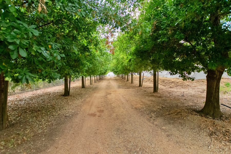 6 Bedroom Property for Sale in Riebeek Kasteel Western Cape